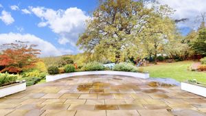 Photo 50- click for photo gallery